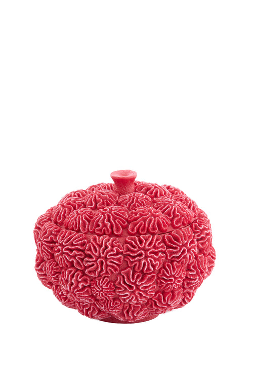 Light & Living deco box+deksel CORAL - Ø20x15.5cm - rood