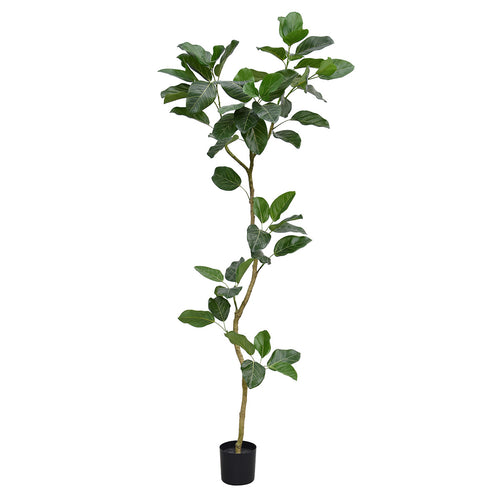 Maxifleur Ficus Audrey Kunstboom RT 240cm