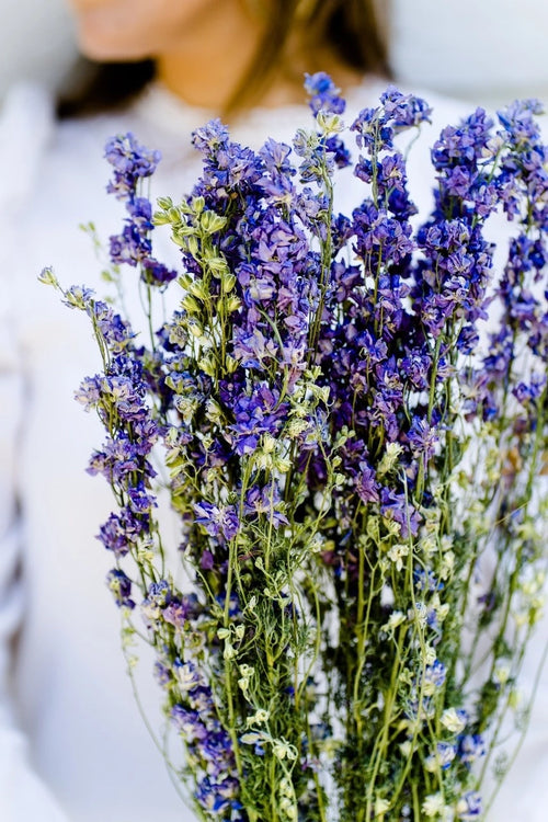 My Flowers.shop Blauw gedroogd Ridderspoor | Delphinium droogbloemen | Lengte 70 centimeter | Per bos - vtwonen shop