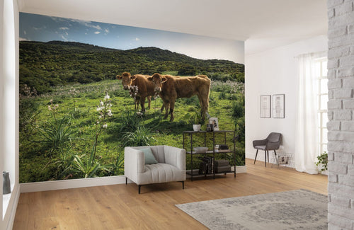 Sanders & Sanders fotobehang landschap met koeien groen - 450 x 280 cm - 612637