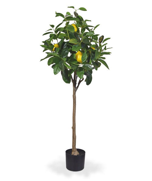 Maxifleur Citroen kunstboom op stam 120cm