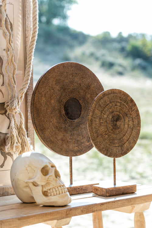 J-Line decoratie Schedel - polyresin - beige - small