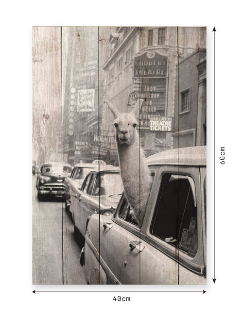 Really Nice Things - Paneel - 60x40 cm - Llama - vtwonen shop