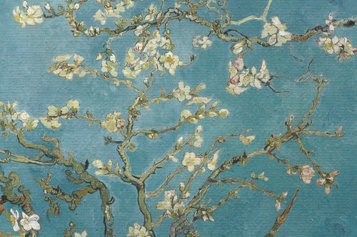 Canvas 60x40 Afdruk Amandelbloesem Van Gogh