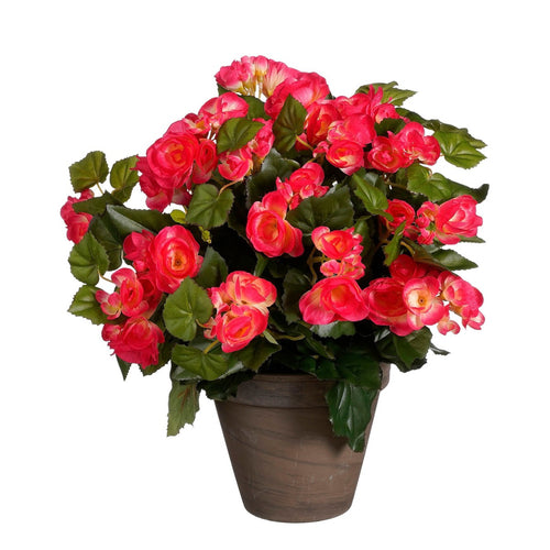 Mica Decorations Begonia Kunstplant in Bloempot Stan - H37 x Ø36 cm - Donkerroze