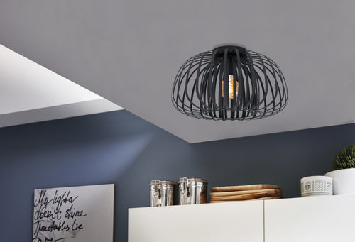 EGLO plafondlamp Encinitos 1 - e27 - ø 45 cm - zwart