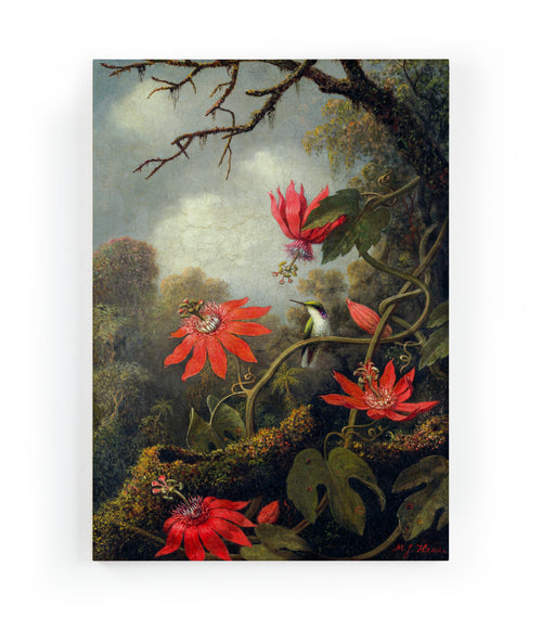 Canvas 60x40 Afdruk Passiebloem
