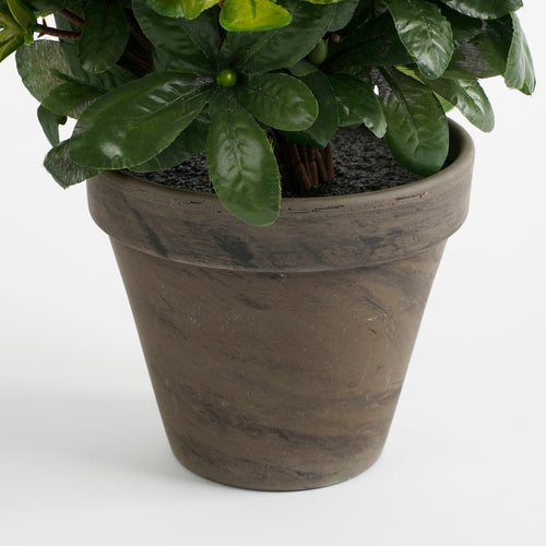 Mica Decorations Azalea Kunstplant in Bloempot Stan - H31 x Ø26 cm - Rood