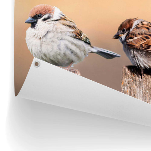 Reinders tuinposter Vogels - 60x80cm