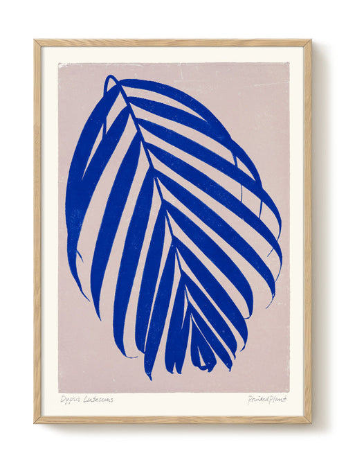 PrintedPlant - Dypsis - PSTR studio Kunst Poster - vtwonen shop