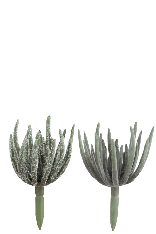 J-Line plant Echeveria - kunststof - groen - medium - 2 stuks