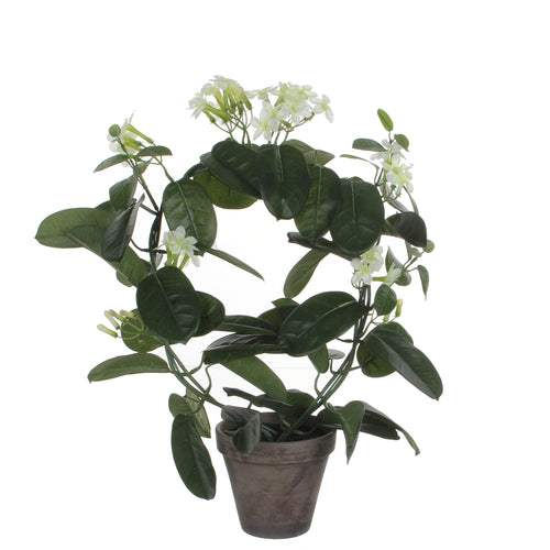 Mica Decorations Stephanotis Kunstplant in Bloempot Stan - H50 x Ø40 cm - Wit