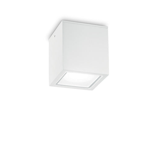 Outdoor Grote Opbouwdownlight Wit IP54, GU10
