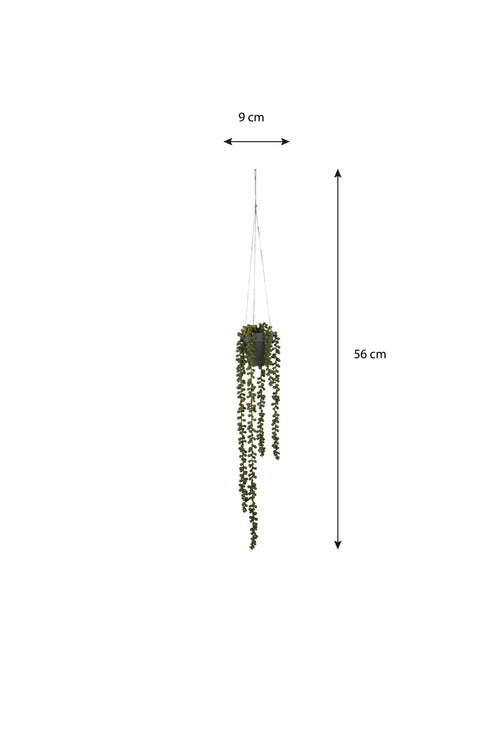Mica Decorations Senecio Kunst Hangplant - H56 x Ø9 cm - Groen