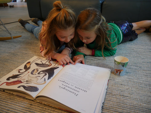 Catchii Kids lunchbox Bamboo Yellow