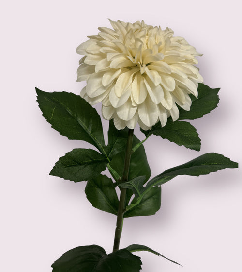 My Flowers.shop Witte dahlia zijden bloem | Lengte 70 centimeter | Per stuk - vtwonen shop