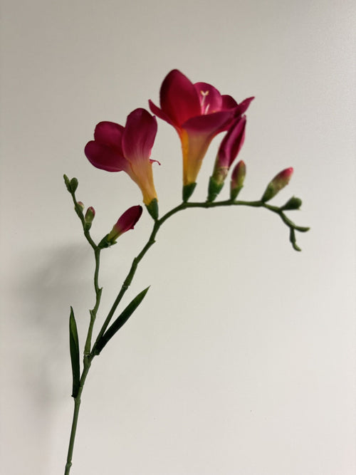 My Flowers.shop Fuchsiakleurige freesia zijden bloem | Lengte 65 centimeter | Per stuk - vtwonen shop