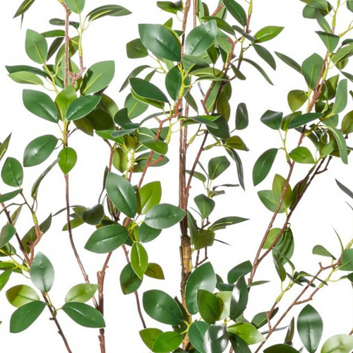 Flourify kunstplant - Ficus ginseng - 130 cm - vtwonen shop