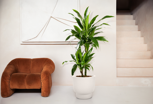 elho amber grail 58 linnen wit | Bloempot |Premium statementdesign