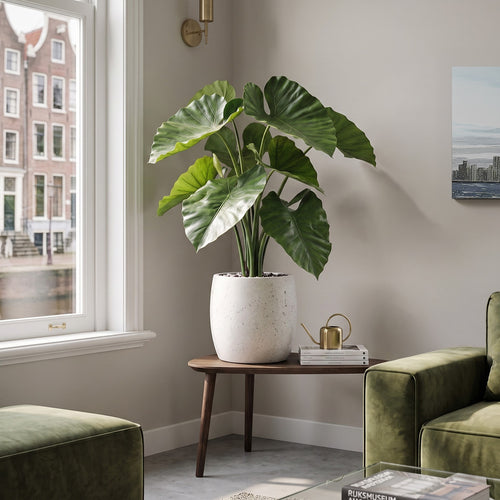 Maxifleur Alocasia Calidora kunstplant 70cm