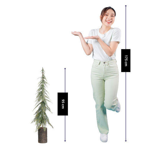 Mica Decorations Decoratieve Kerstboom Groen - Sfeervolle Kerstversiering met Fijne Takken - Kunstboom voor Woonkamer en Hal - Slank Ontwerp - H95 x