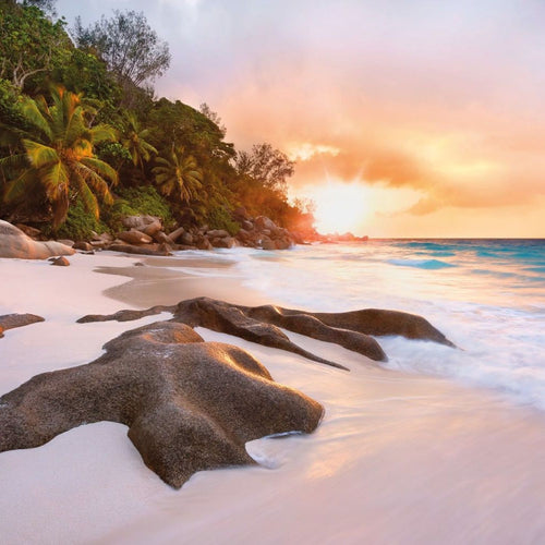 Sanders & Sanders fotobehang strand zandkleurig, groen en blauw - 368 x 248 cm - 612321