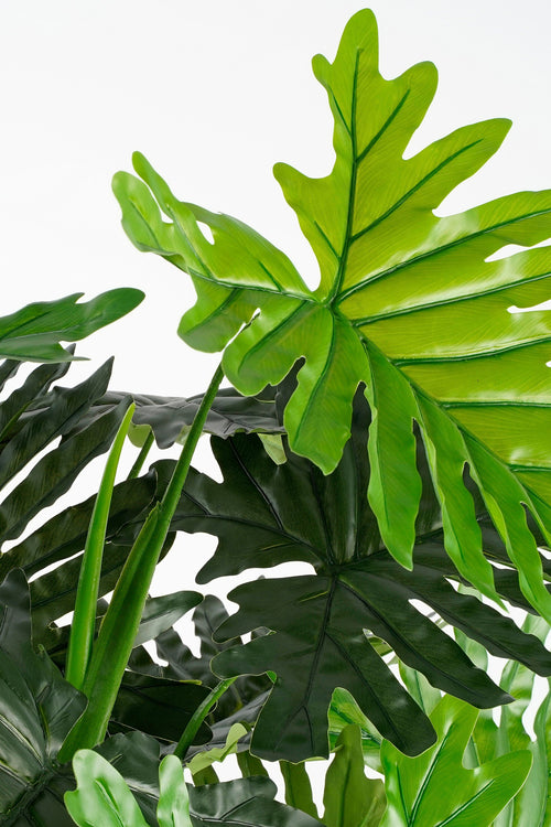 Mica Decorations Philodendron Kunstplant - H120 x Ø80 cm - Groen - vtwonen shop
