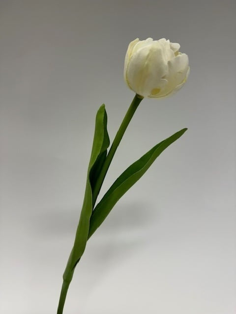 My Flowers.shop Witte tulp zijden bloem | Lengte 40 centimeter | Per stuk - vtwonen shop