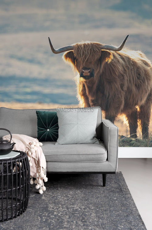 Sanders & Sanders fotobehang schotse hooglander meerkleurig - 300 x 279 cm - 950002