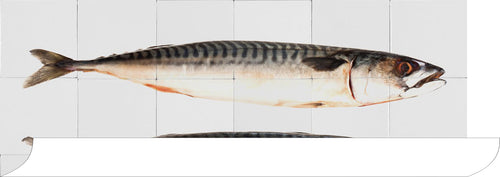 ESTAhome muursticker vissen grijs - 97 x 48.5 cm - 159030