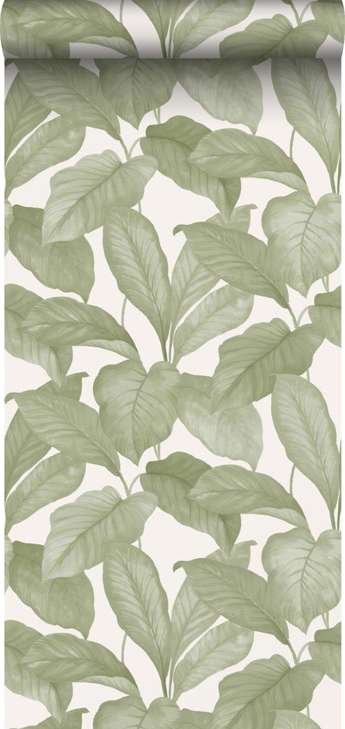 Borastapeter behang bladeren groen - 53 cm x 10.05 m - 660530 - vtwonen shop
