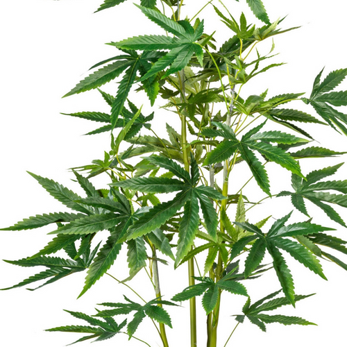 Flourify kunstplant - Hennepplant - 90 cm - vtwonen shop