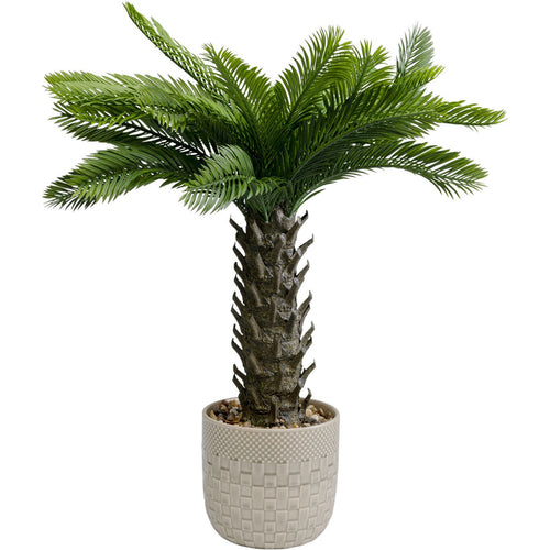 Kare Design Kunstplanten - Cycas - 70cm