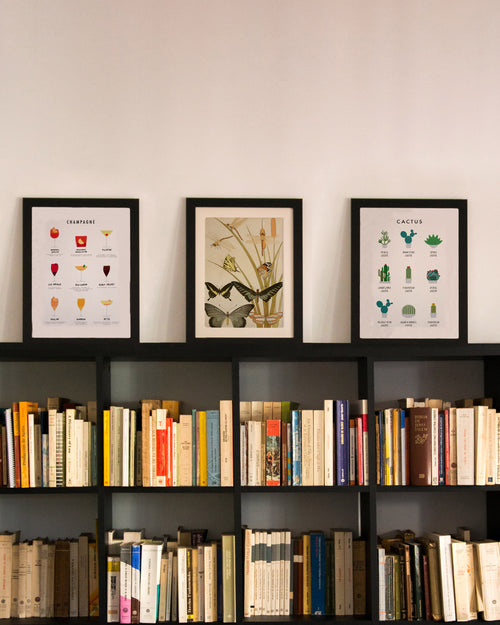 Zwarte lijst met kader 40x30 cactus - vtwonen shop