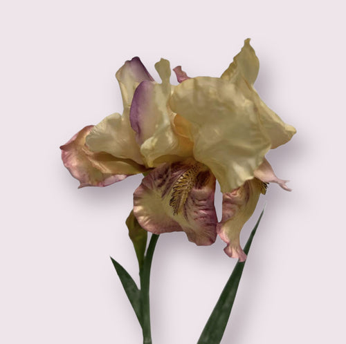 My Flowers.shop Roze iris zijden bloem | Lengte 70 centimeter | Per stuk - vtwonen shop