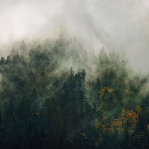 Sanders & Sanders fotobehang landschap groen - 300 x 250 cm - 612383
