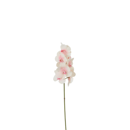 Sia Deco Orchidee Phalaenopsis Steel Kunstmatig - roze en wit - H50 - vtwonen shop