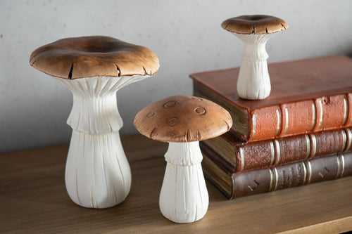 J-Line decoratie Boeken - polyresin - bruin - large