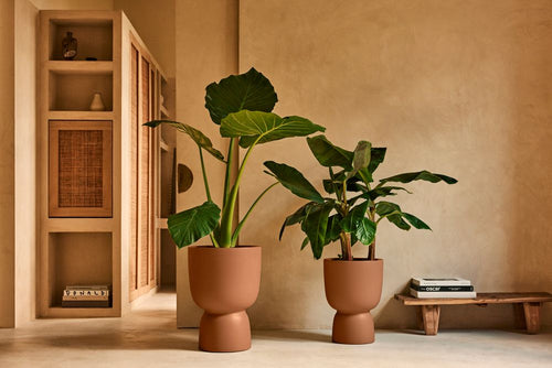 elho amber coupe 35 karamel | Bloempot |Premium statementdesign
