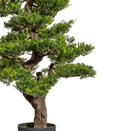 Flourify Kunstplant - Bonsai - 160 cm - vtwonen shop