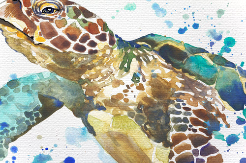 Canvas 60x40 Afdruk Schildpad - vtwonen shop