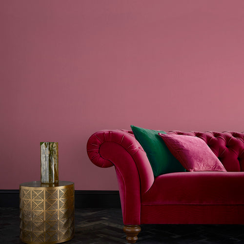 Graham & Brown Bellini - Testerpot - Matte Muurverf - 100ml - vtwonen shop