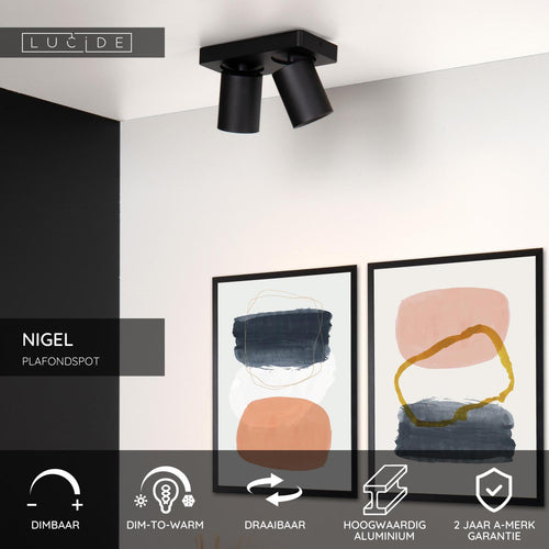 Lucide plafondspot NIGEL - 2xGU10 - Zwart