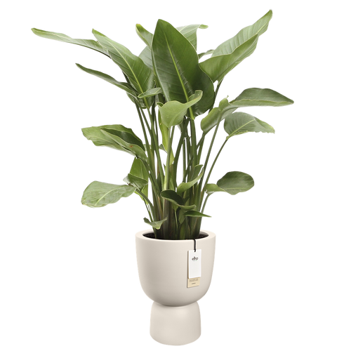 elho amber coupe 35 linnen wit | Bloempot |Premium statementdesign
