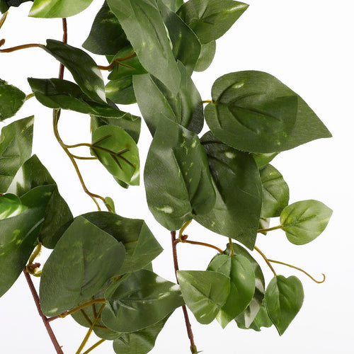 Mica Decorations Scindapsus Kunst Hangplant - L15 x B30 x H80 cm - Groen