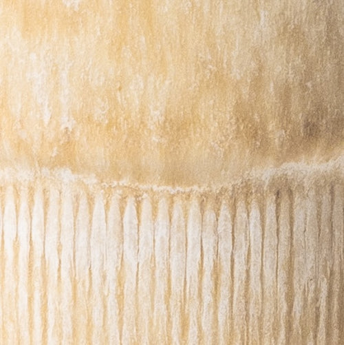 Mimo Homeware koffiekopje Coral Clay - 230 ml - set van 2