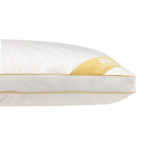 Balette - Greenfirst Donzen Bedset - Dekbed & Hoofdkussens - 240x220cm