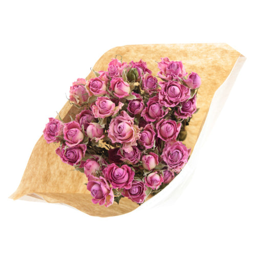 My Flowers.shop Tien gedroogde roze trosrozen | Lengte 50 centimeter | Per bos te bestellen - vtwonen shop