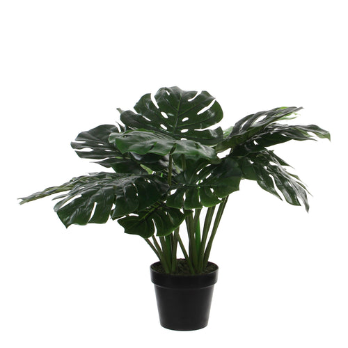 Mica Decorations Monstera Kunstplant - H60 x Ø80 cm - Groen - vtwonen shop