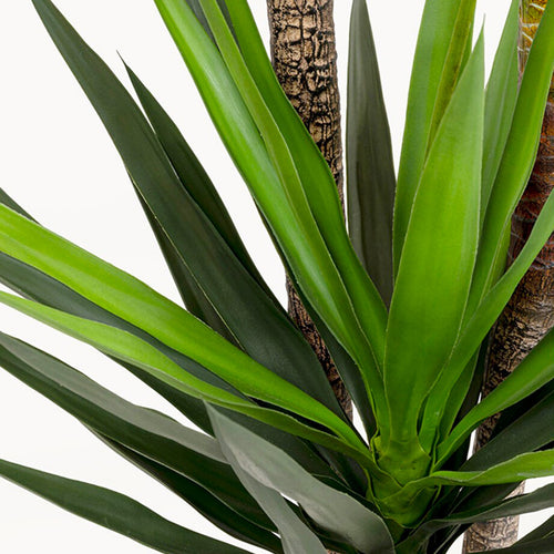 Kare Design Kunstplanten Yucca 250cm